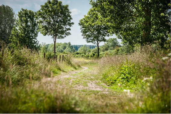 Natuur_provincie_