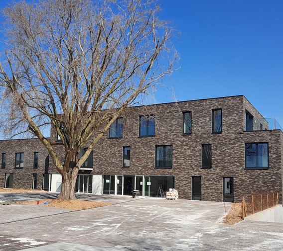 Gebouw_met_boom
