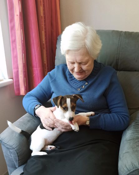 Editiepajot_bart_devill___hond_lucy_
