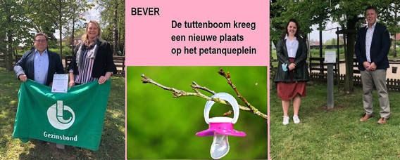 Tuttenboom_bever_nieuwe_plaats