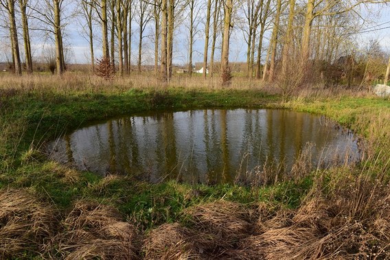 Poel_290121__kopie_