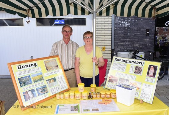 Editie_gooik_markt_centrum_plosj_5__kopie_