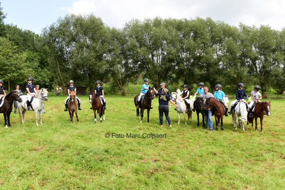 Editie_galmaarden_jumping_2__kopie_