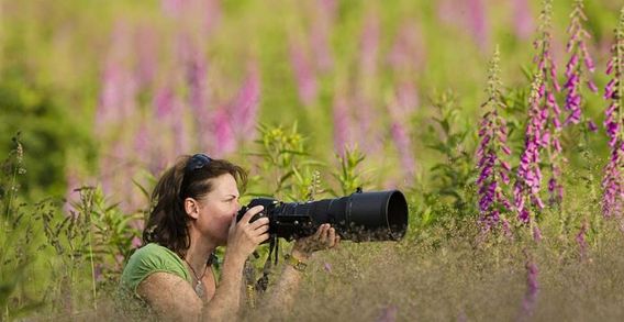 Editiepajot_bart_devill___natuurfotograaf