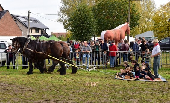 Editie_galmaarden_vollezele_leeft__6__kopie_