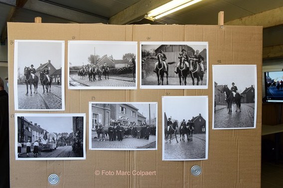 Editie_gooik_paarden_5__kopie_