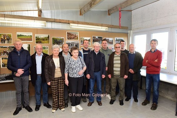 Editie_gooik_paarden_7__kopie_