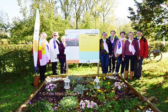 Editie_gooik_ferm_2__kopie_