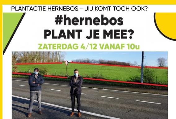 Aanplant_hernebos