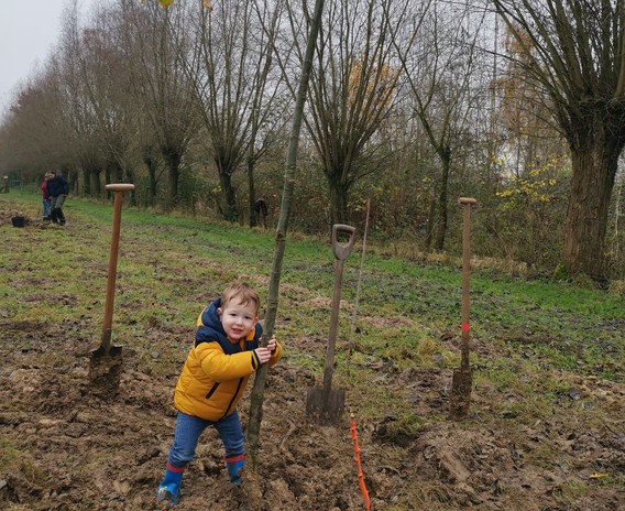 A_a_bomen_assen_