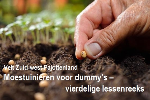 Moestuinieren_2022_cursussen_voor_dummy_s