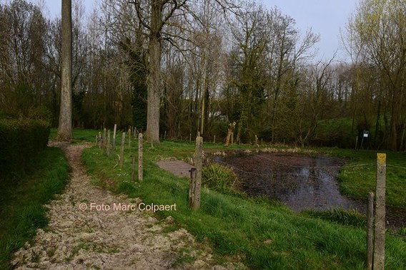 Editie_gooik_brug_paddenbroek_2__kopie_