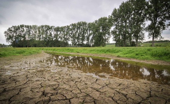 Klimaat_