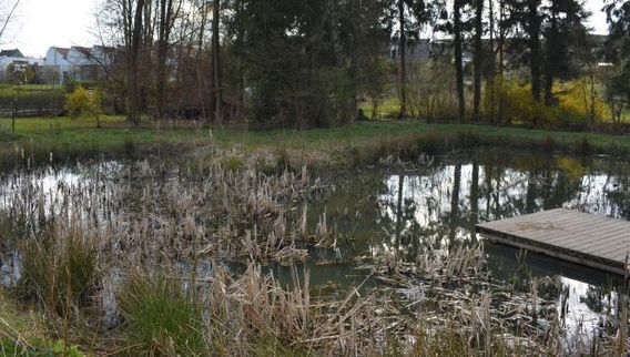 Editiepajot_bart_devill___natuurpark_alsemberg