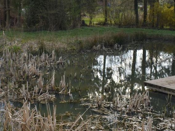 Editiepajot_bart_devill___natuurpark_alsembergse_beemd