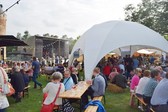 Editiepajot_bart_devill___bottlefest_nieuwsbrief