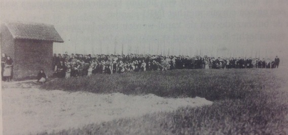 Stene_linde_oud_horizontaal