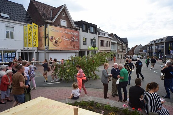 Editie_galmaarden_meiboomplanting_2__kopie_