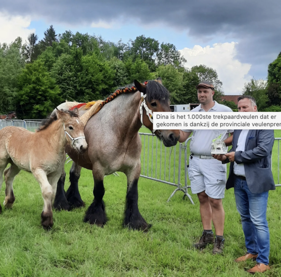 Schermafbeelding_2022-06-08_om_11