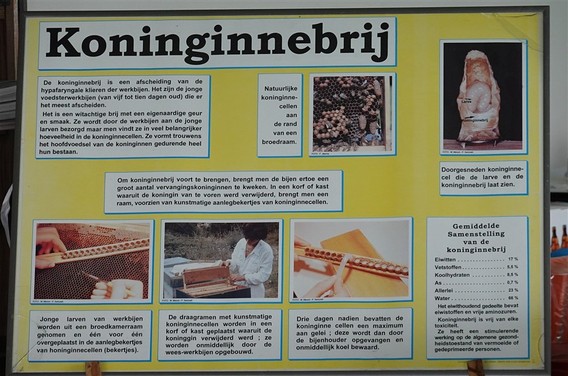 Landelijke_gilden_pajottenland_senioren_lennik___6_