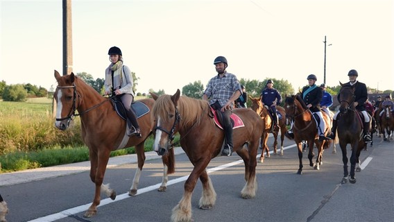 Paardenprocessie_2022_ep___5_