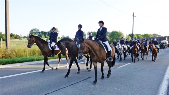 Paardenprocessie_2022_ep___6_