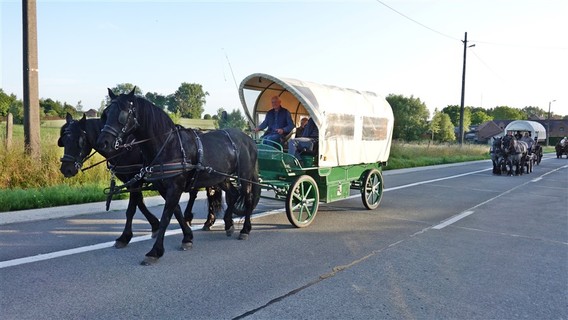 Paardenprocessie_2022_ep___7_