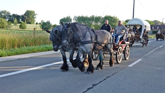 Paardenprocessie_2022_ep___8_