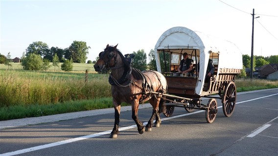 Paardenprocessie_2022_ep___9_