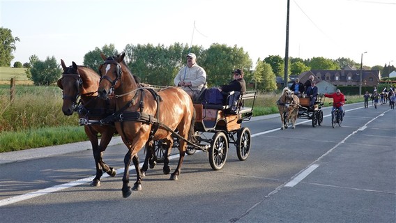 Paardenprocessie_2022_ep___10_