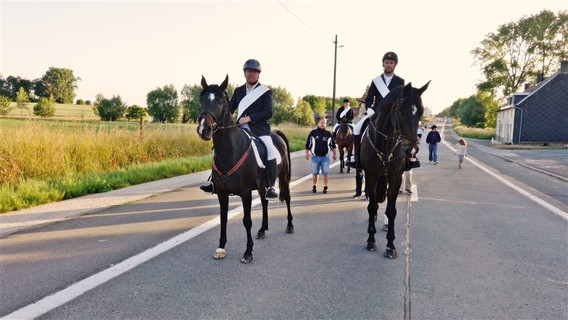 Paardenprocessie_2022_ep___13_