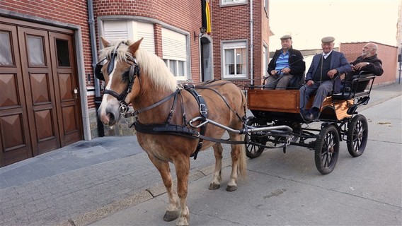 Paardenprocessie_2022_ep___18_