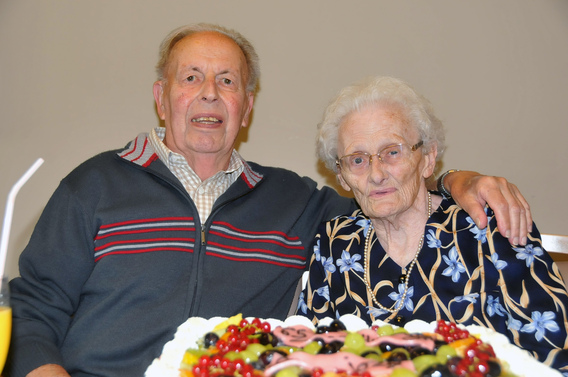 Leeuw_briljant_goossens__e_