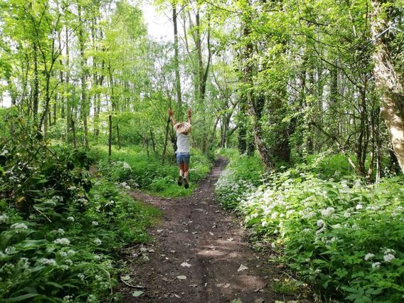 Bos_in_de_lente_-_regionaal_landschap_pajottenland___zennevallei