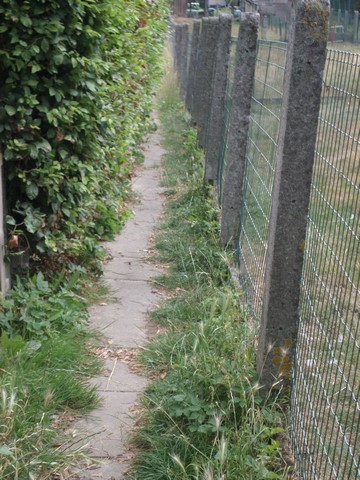 Sam_6355__kopie_