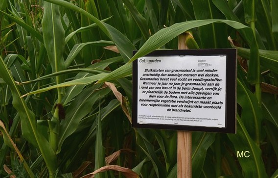 Editie_galmaarden_sluikstorten_gras__kopie_