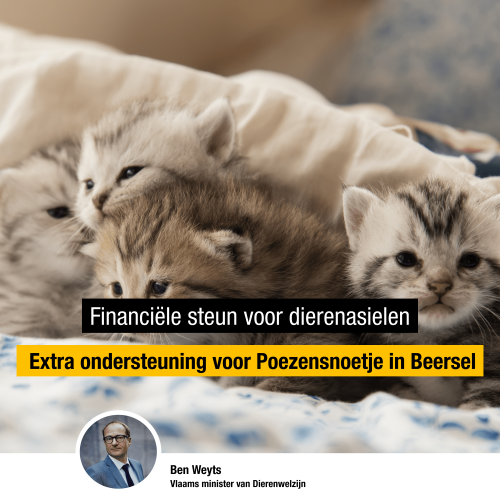 Editiepajot_bart_devill___steun_dierenasiel