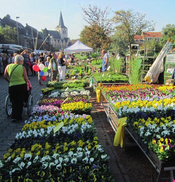 Jaarmarkt_dilbeek_planten