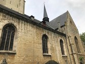 Sint_pieterslerk_leeuw__nieuwsbrief