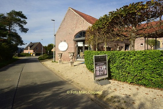 Editie_ninove_peggy_5__kopie_