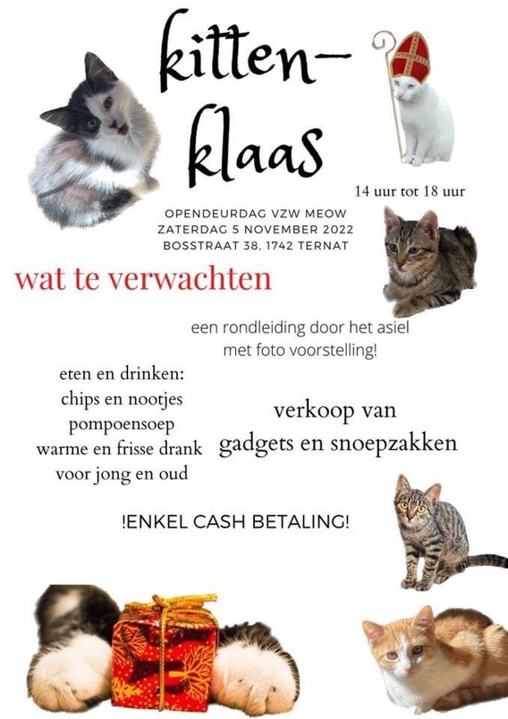 Kittenklaas