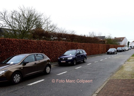 A_ediitie_colpaert_galmaarden_muylebeekstraat_1__kopie_