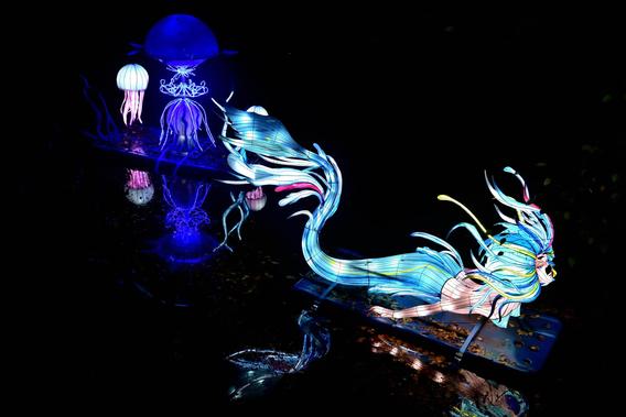 Mini_dsc_0505
