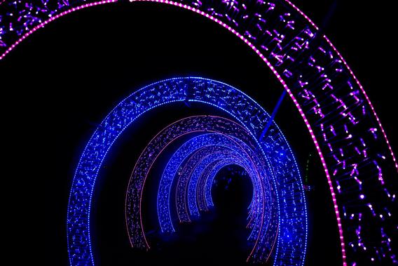 Mini_dsc_0528_01