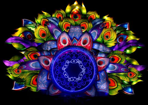Mini_dsc_0541