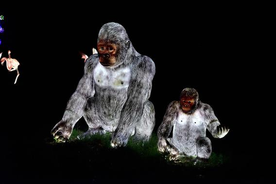 Mini_dsc_0547_01