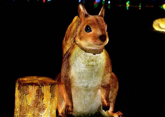 Mini_dsc_0571