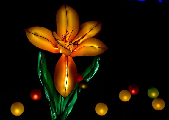 Mini_dsc_0622