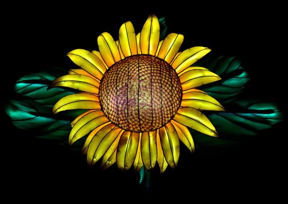 Mini_dsc_0649