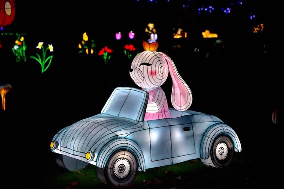 Mini_dsc_0685